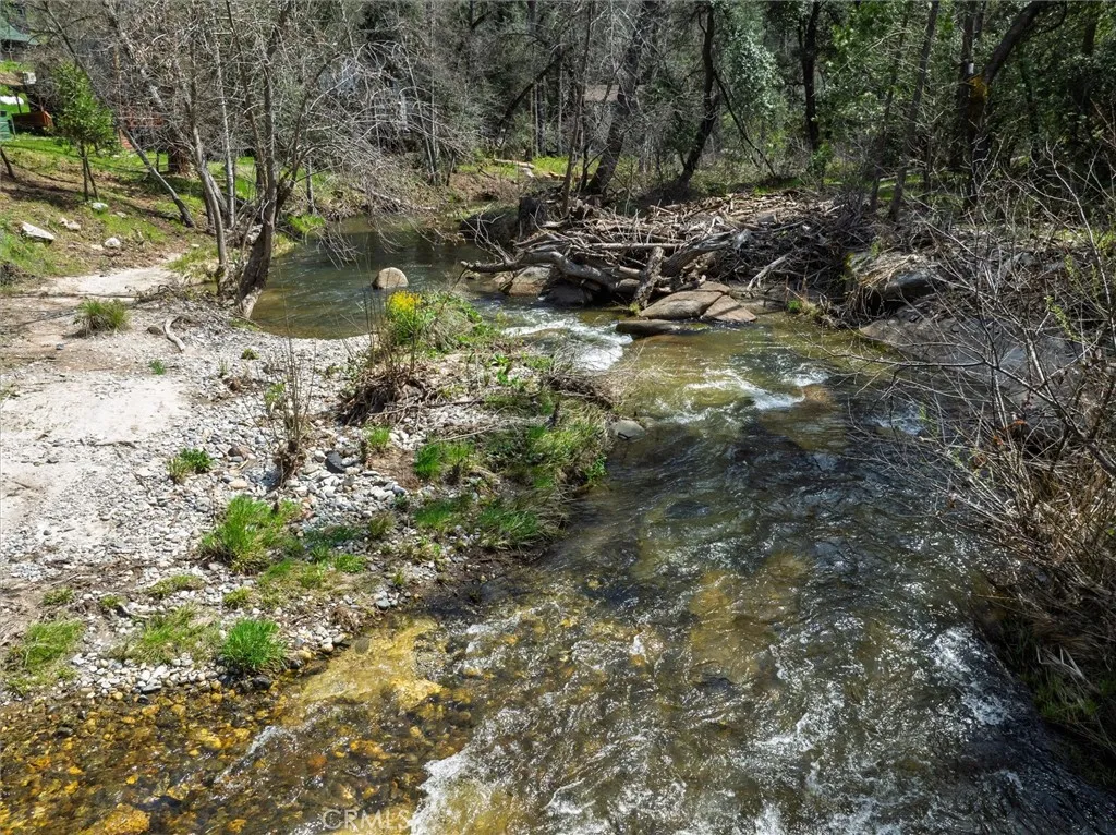 0 Springwood Road Oakhurst, CA 93644 - Photo 14 of 37 a view of a forest with trees