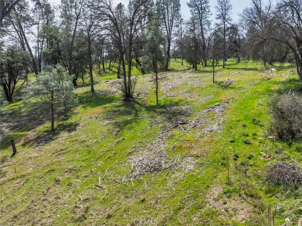 0 Springwood Road Oakhurst, CA 93644 - Photo 16 of 37 a view of a park with tree s