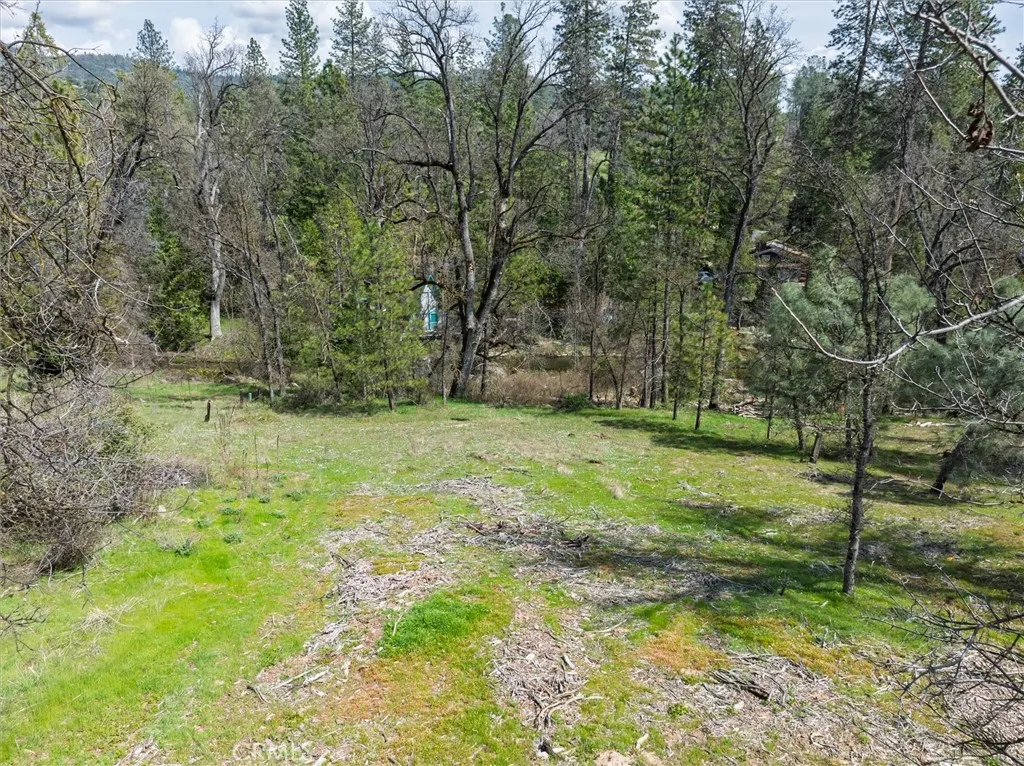 0 Springwood Road Oakhurst, CA 93644 - Photo 17 of 37