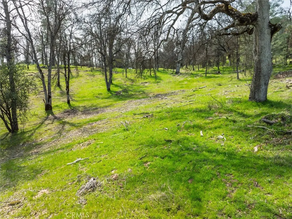 0 Springwood Road Oakhurst, CA 93644 - Photo 19 of 37