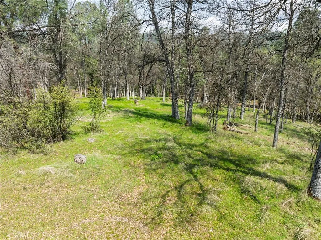 0 Springwood Road Oakhurst, CA 93644 - Photo 20 of 37