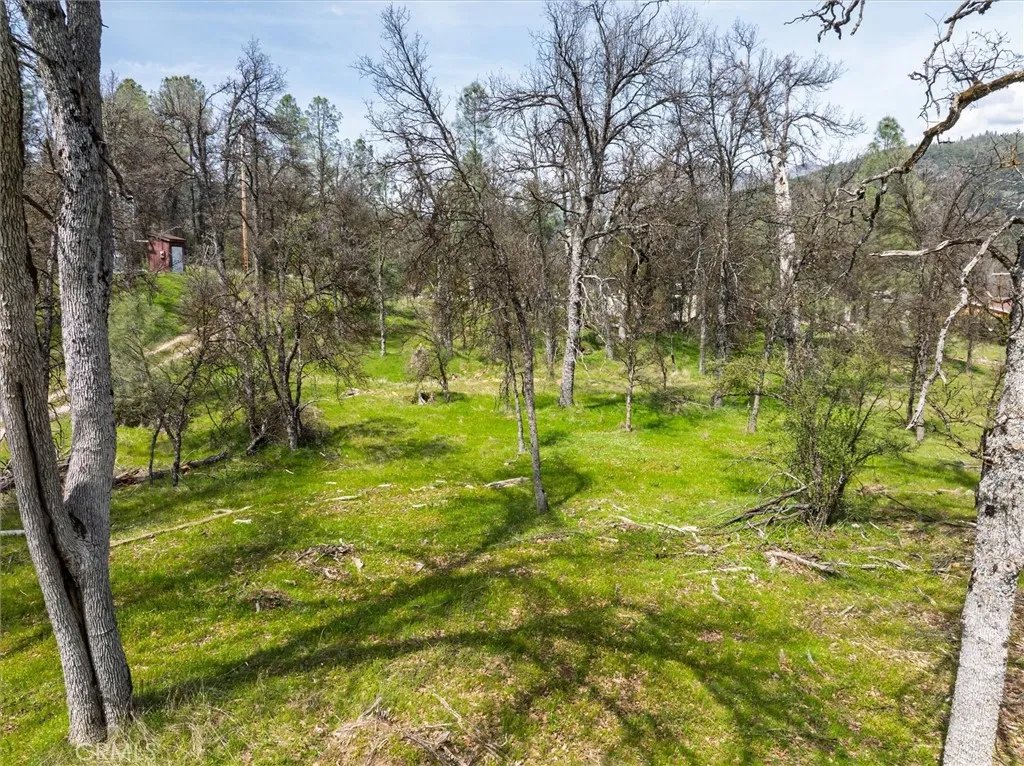 0 Springwood Road Oakhurst, CA 93644 - Photo 2 of 37 a view of yard with green space