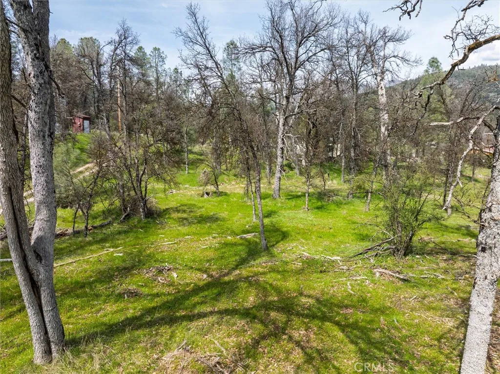 0 Springwood Road Oakhurst, CA 93644 - Photo 2 of 37