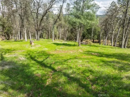 a view of green field