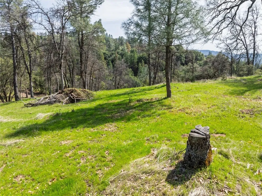 0 Springwood Road Oakhurst, CA 93644 - Photo 23 of 37