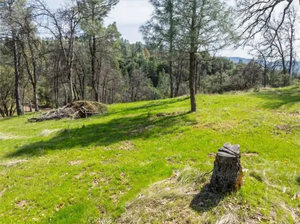 $575,000 | 0 Springwood Road, Oakhurst, CA 93644