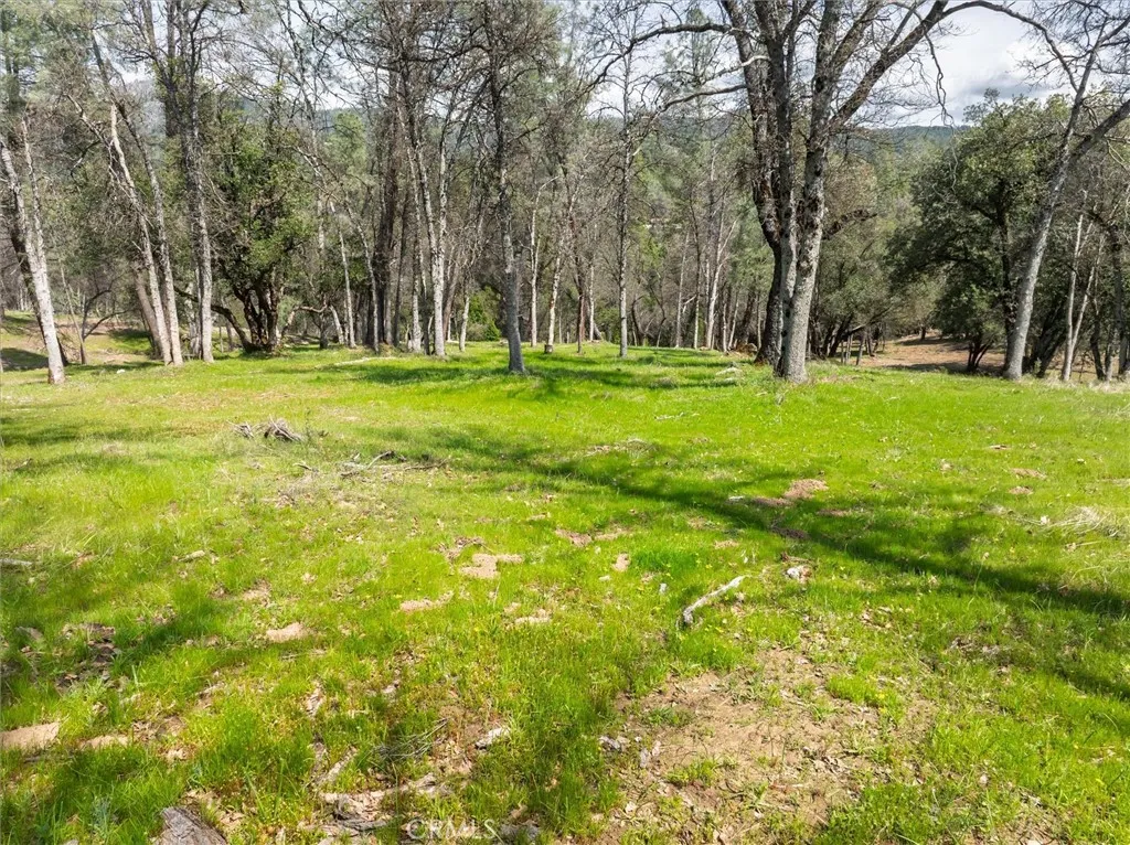 0 Springwood Road Oakhurst, CA 93644 - Photo 24 of 37