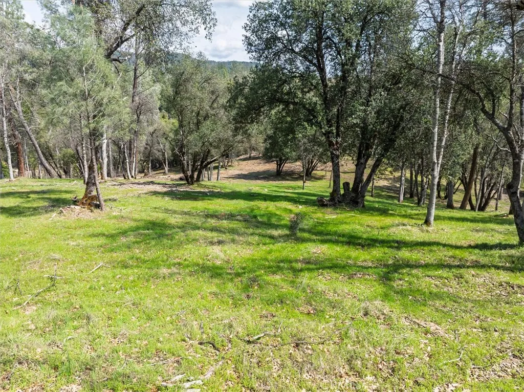 0 Springwood Road Oakhurst, CA 93644 - Photo 26 of 37 a view of a tree in a yard