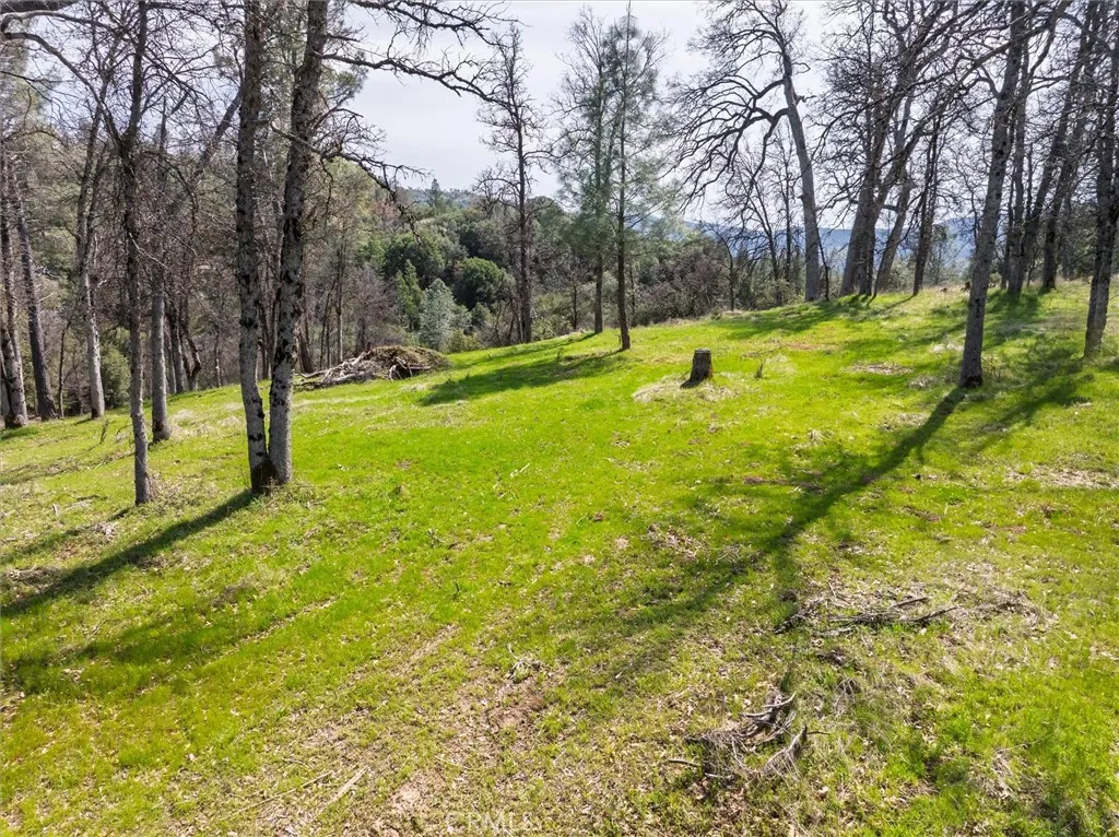 0 Springwood Road Oakhurst, CA 93644 - Photo 27 of 37