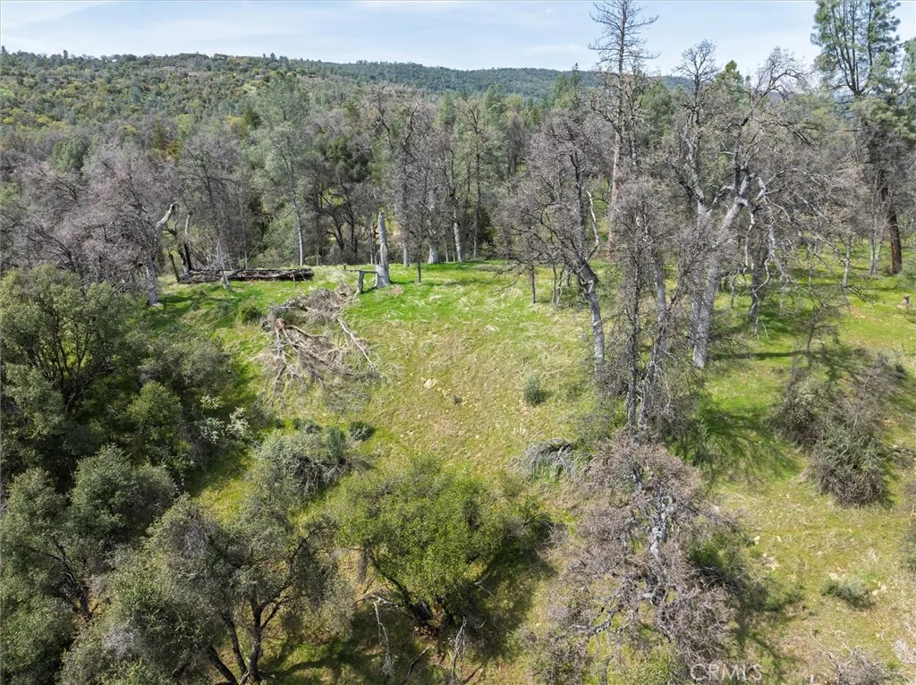 0 Springwood Road Oakhurst, CA 93644 - Photo 9 of 37