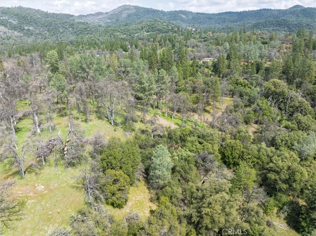 0 Springwood Road Oakhurst, CA 93644 - Photo 10 of 37 a view of a lush green field