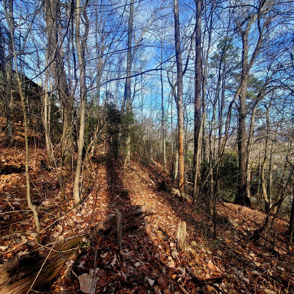 17 Zurich Road Gatlinburg, TN 37738 - Photo 9 of 24