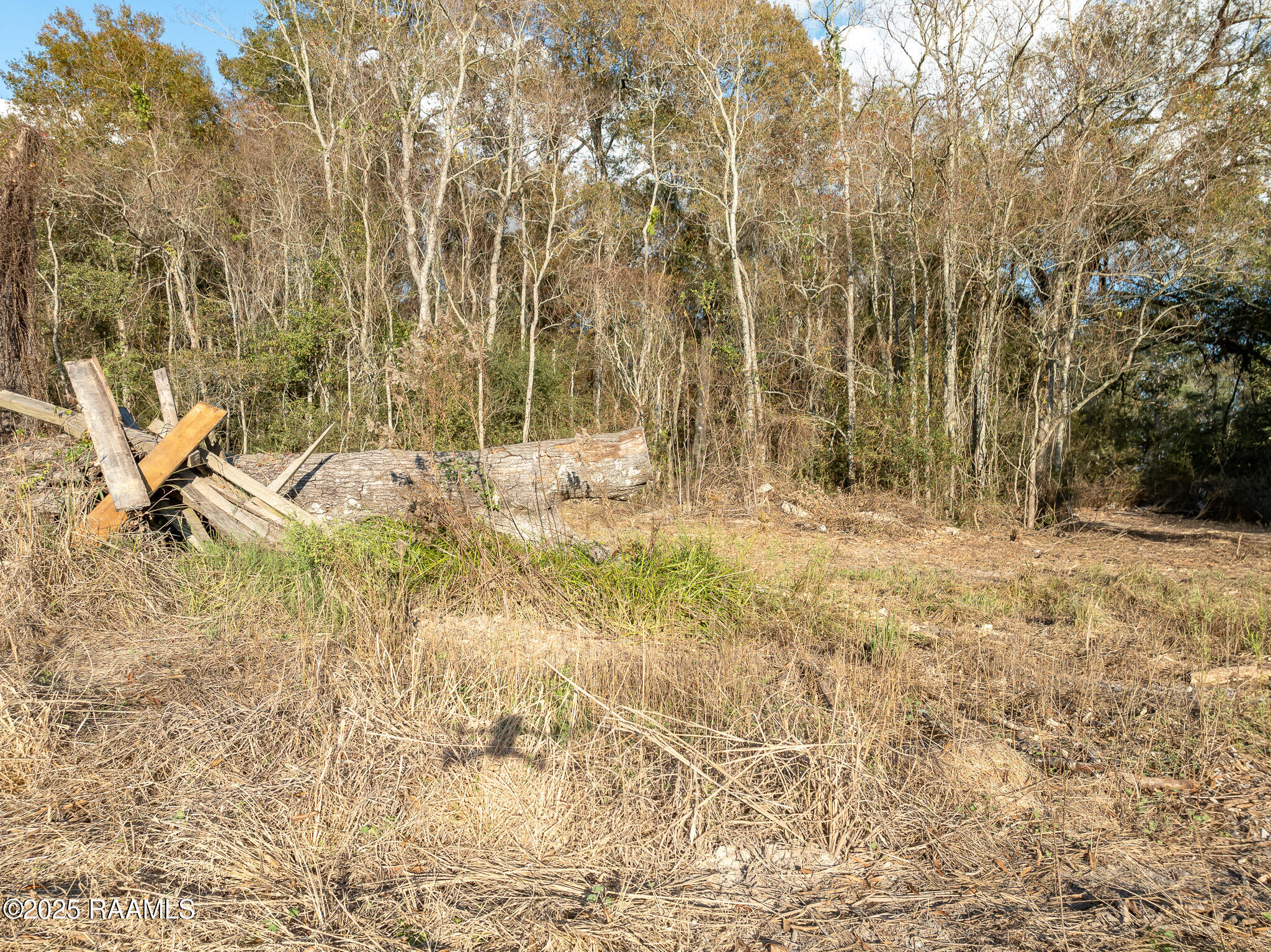169 Lavan Street Elton, LA 70532 - Photo 5 of 9 DJI_0359