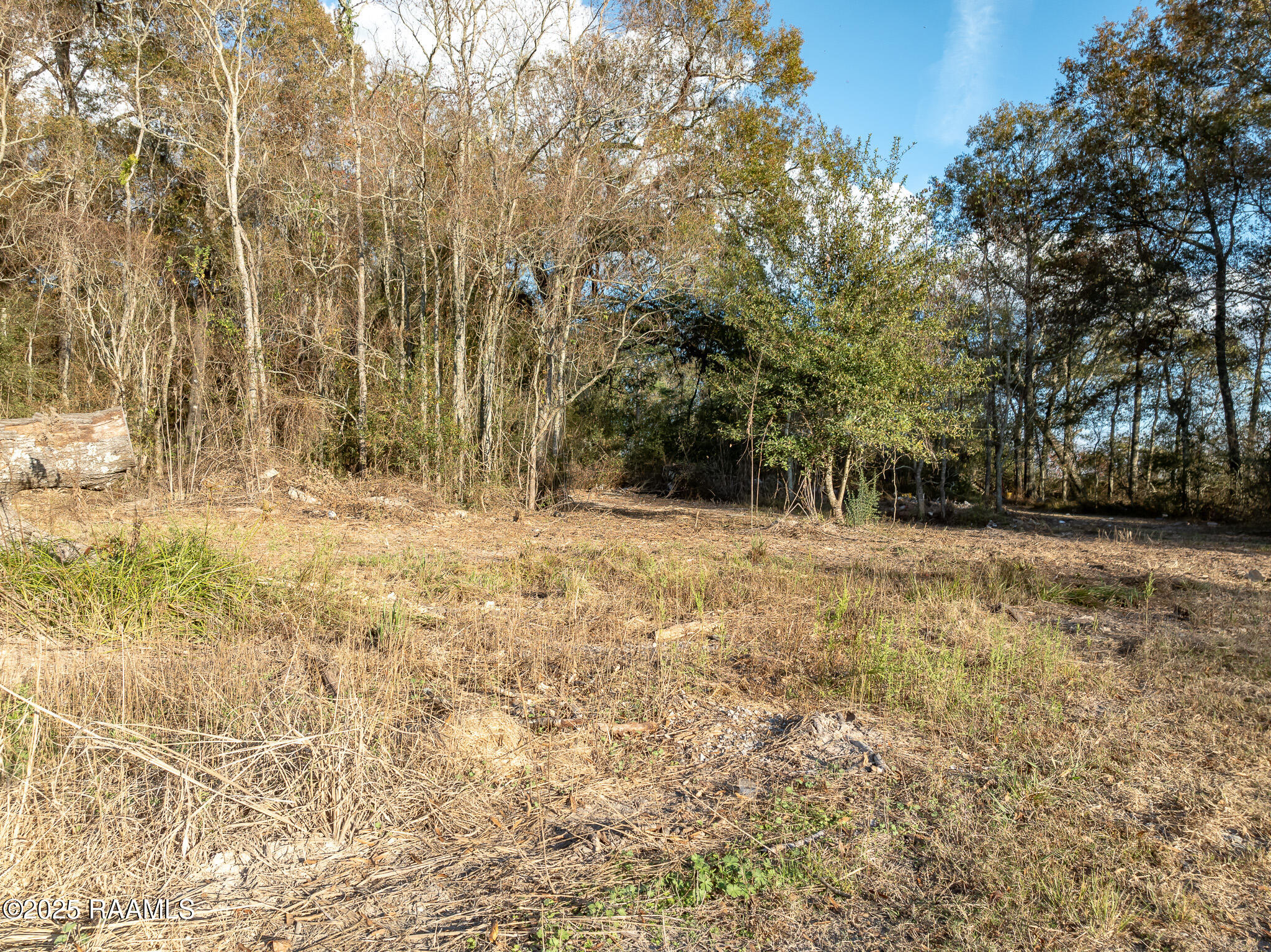 169 Lavan Street Elton, LA 70532 - Photo 6 of 9 DJI_0360