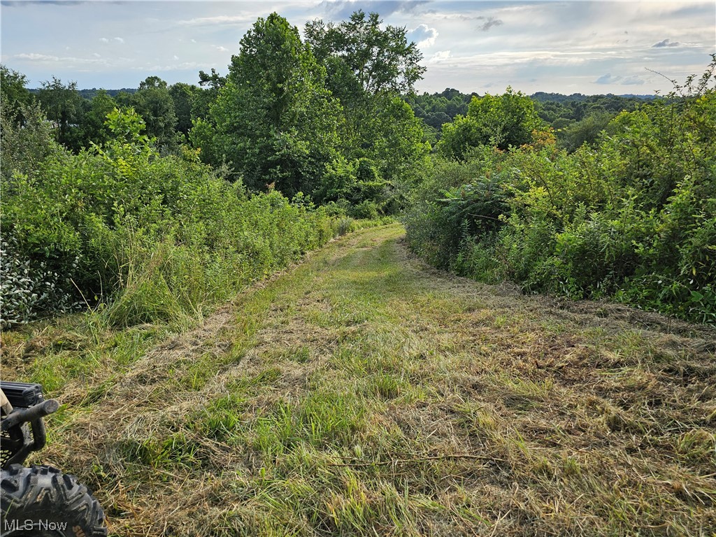 Ellis Road Stockport, OH 43787 - Photo 26 of 26 Gallery Image 26