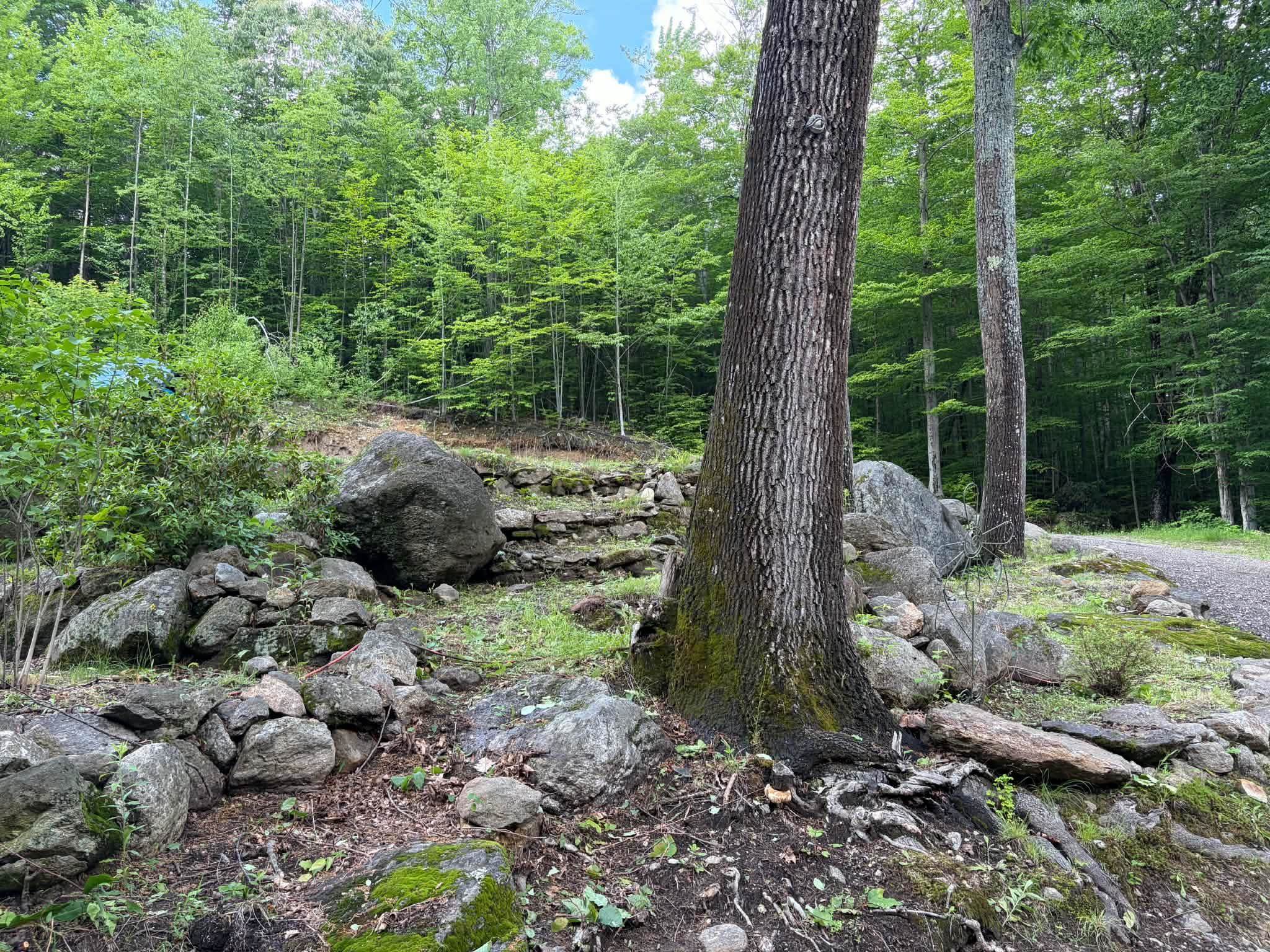 1336 Washburn Road Alexandria, NH 03222 - Photo 19 of 26 Gallery Image 19