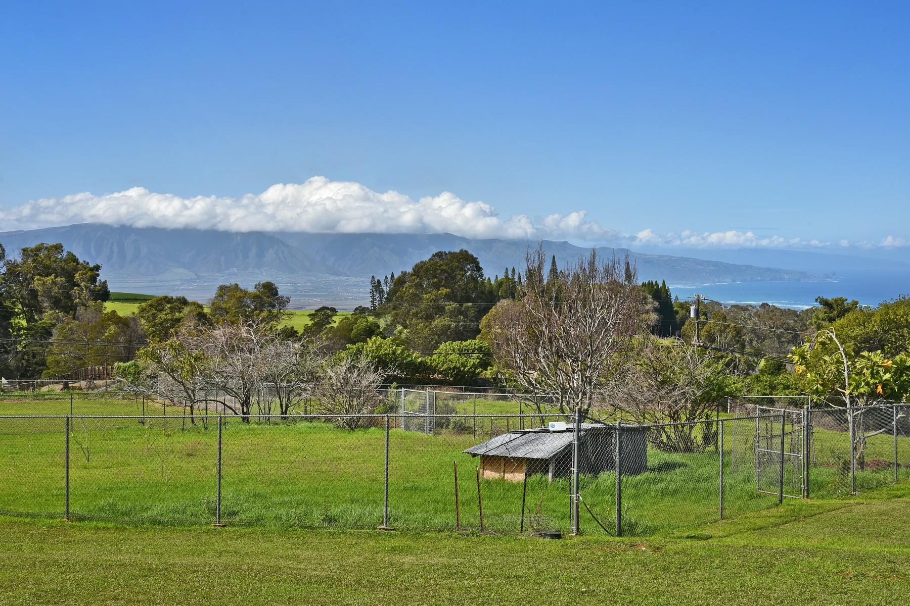 1145 Olinda Road Makawao, HI 96768 - Photo 5 of 30 a view of a golf course with a lake