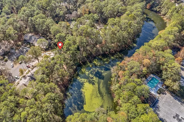 a view of a yard with plants and flowers