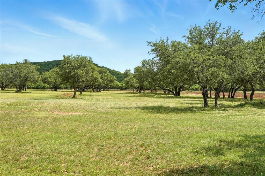 635 County Road 184 Winters, TX 79567 - Photo 33 of 40 Beautiful Oak Trees throughout.