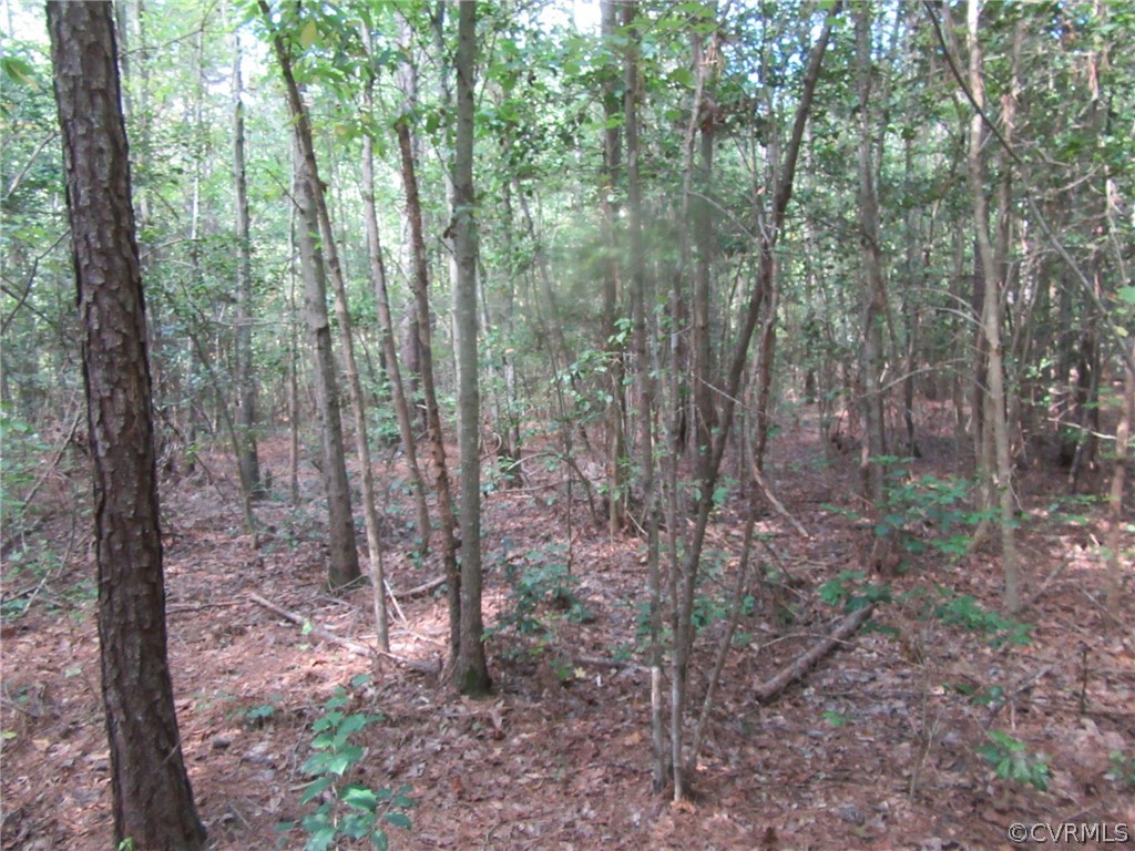 73-7-7 Fox Branch Road Carson, VA 23830 - Photo 12 of 17