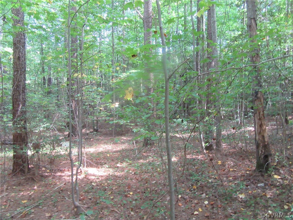73-7-7 Fox Branch Road Carson, VA 23830 - Photo 2 of 17