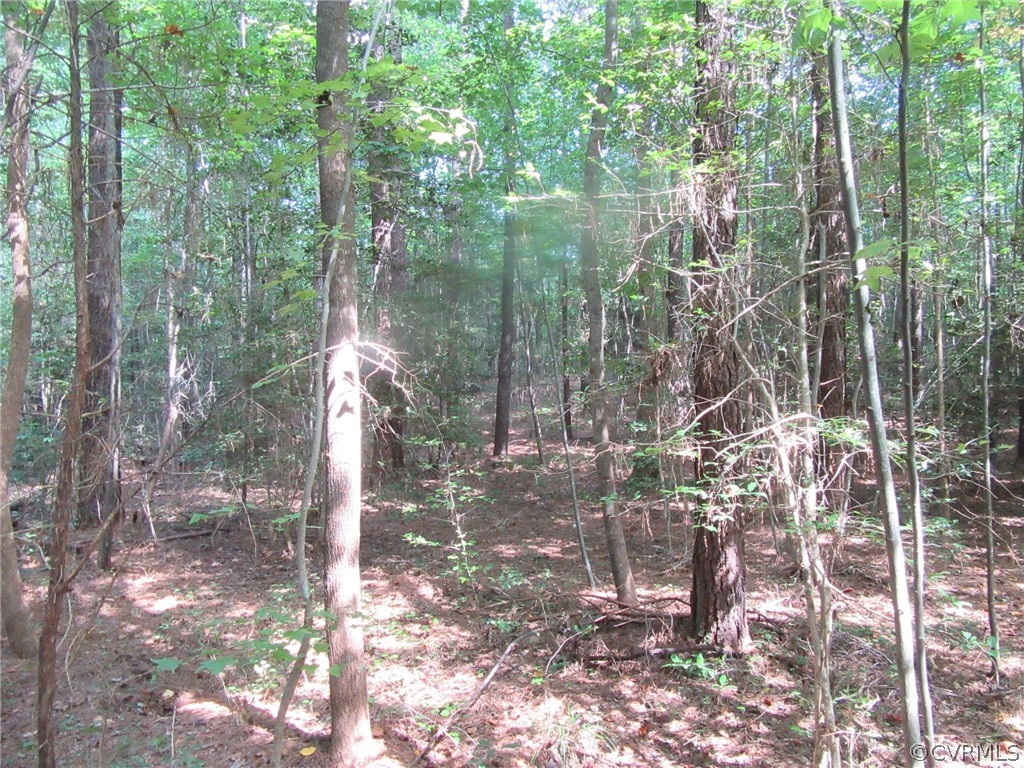 73-7-7 Fox Branch Road Carson, VA 23830 - Photo 3 of 17