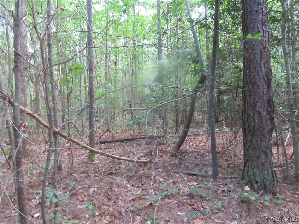 73-7-7 Fox Branch Road Carson, VA 23830 - Photo 4 of 17
