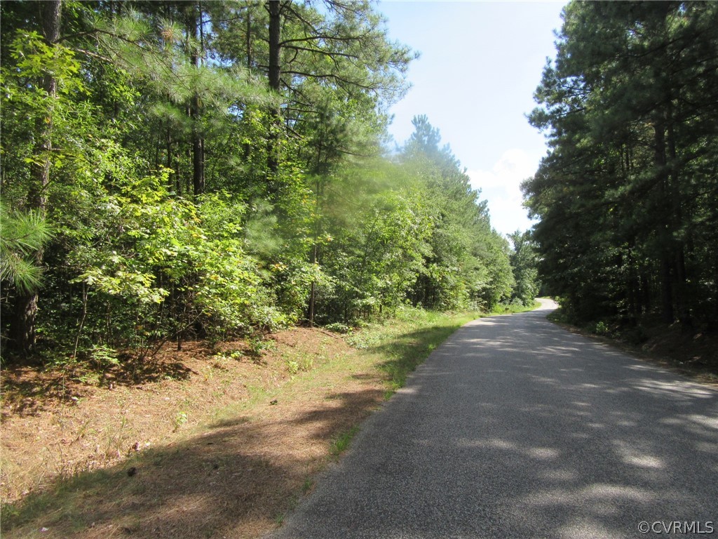 73-7-7 Fox Branch Road Carson, VA 23830 - Photo 6 of 17