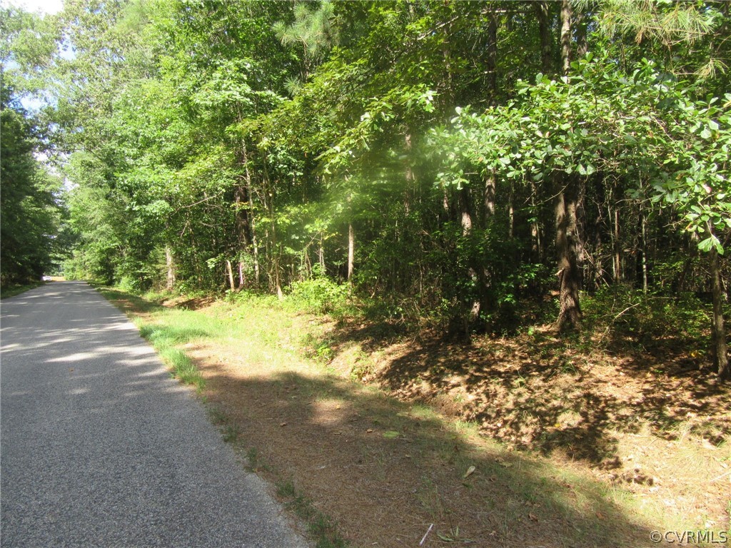 73-7-7 Fox Branch Road Carson, VA 23830 - Photo 7 of 17