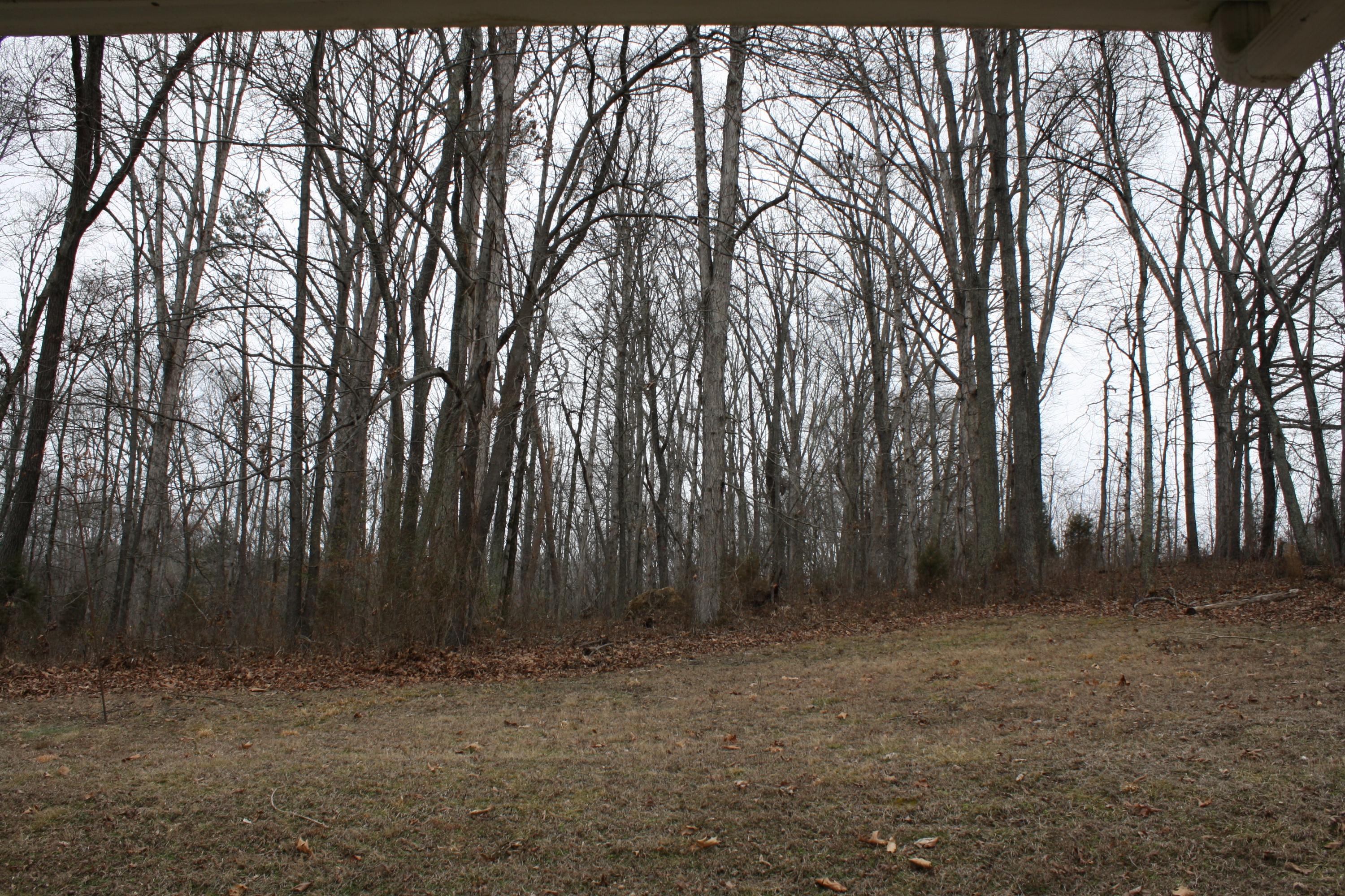 463 Hillvale Road Clinton, TN 37716 - Photo 2 of 7 IMG_4513