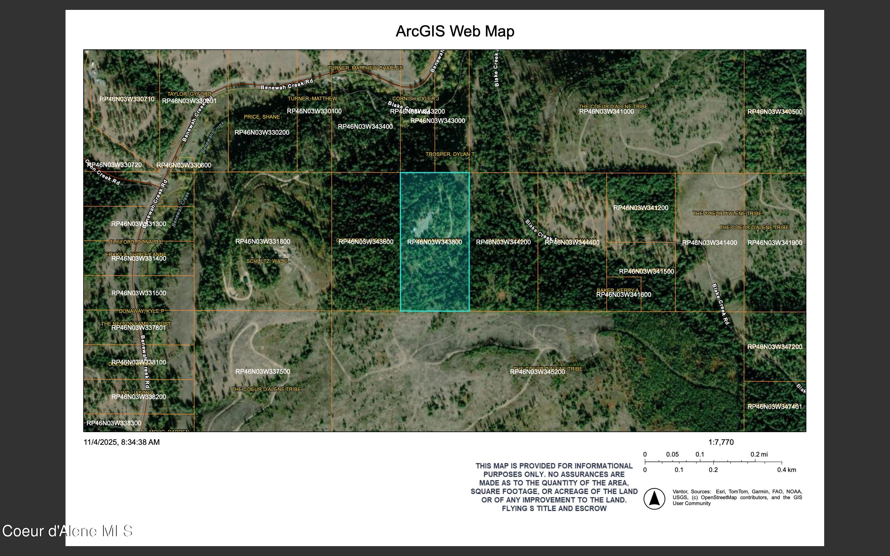 Blake Creek Rd Street St. Maries, ID 83861 - Photo 3 of 37 PLAT-ARCGIS-WEBMAP