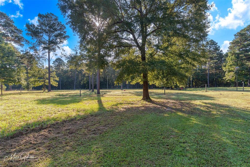 550 Linton Bellevue Road Benton, LA 71006 - Photo 3 of 37 View of acreage