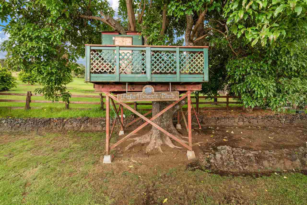 53 Maukanani Road Kula, HI 96790 - Photo 23 of 28