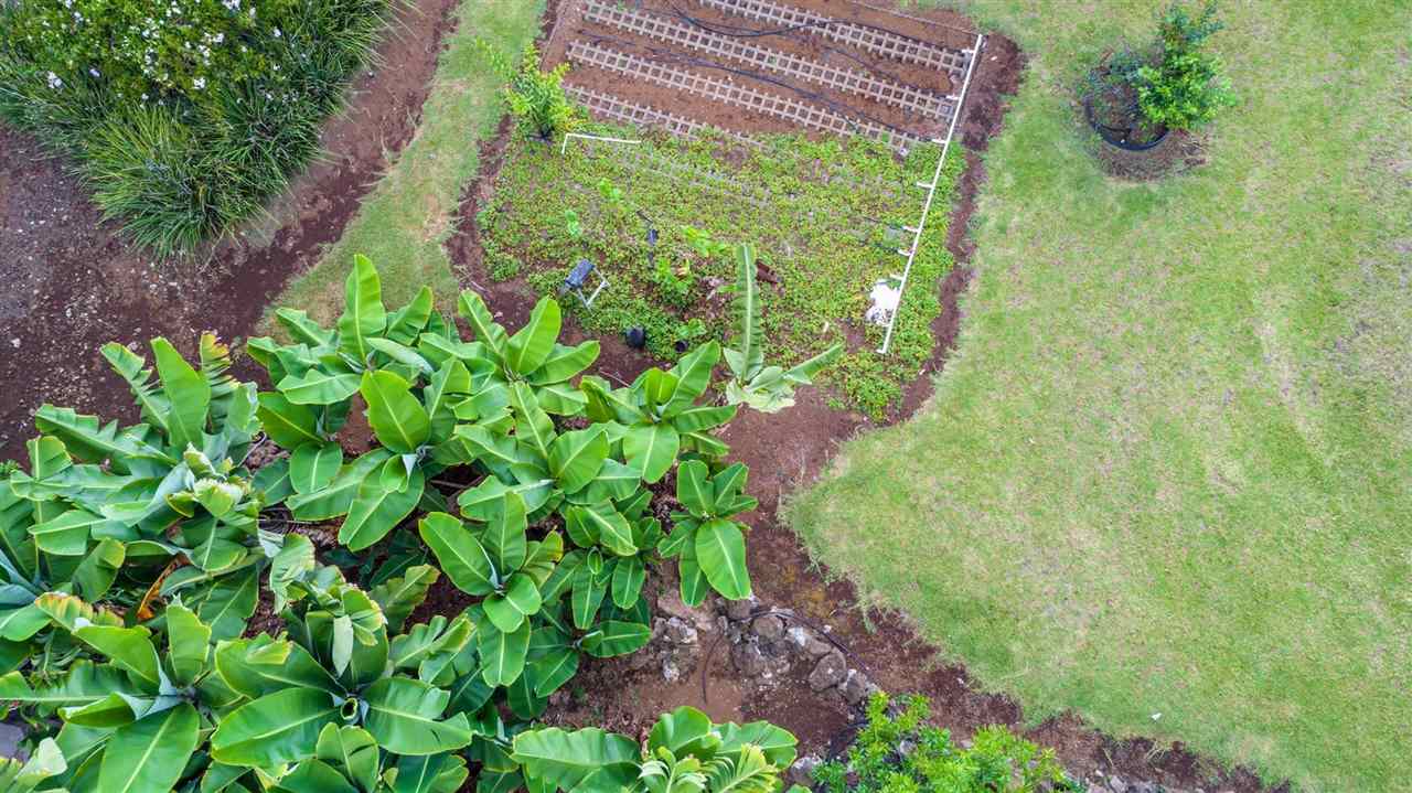 53 Maukanani Road Kula, HI 96790 - Photo 26 of 28