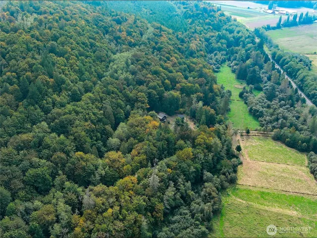 an aerial view of residential houses with outdoor space and trees