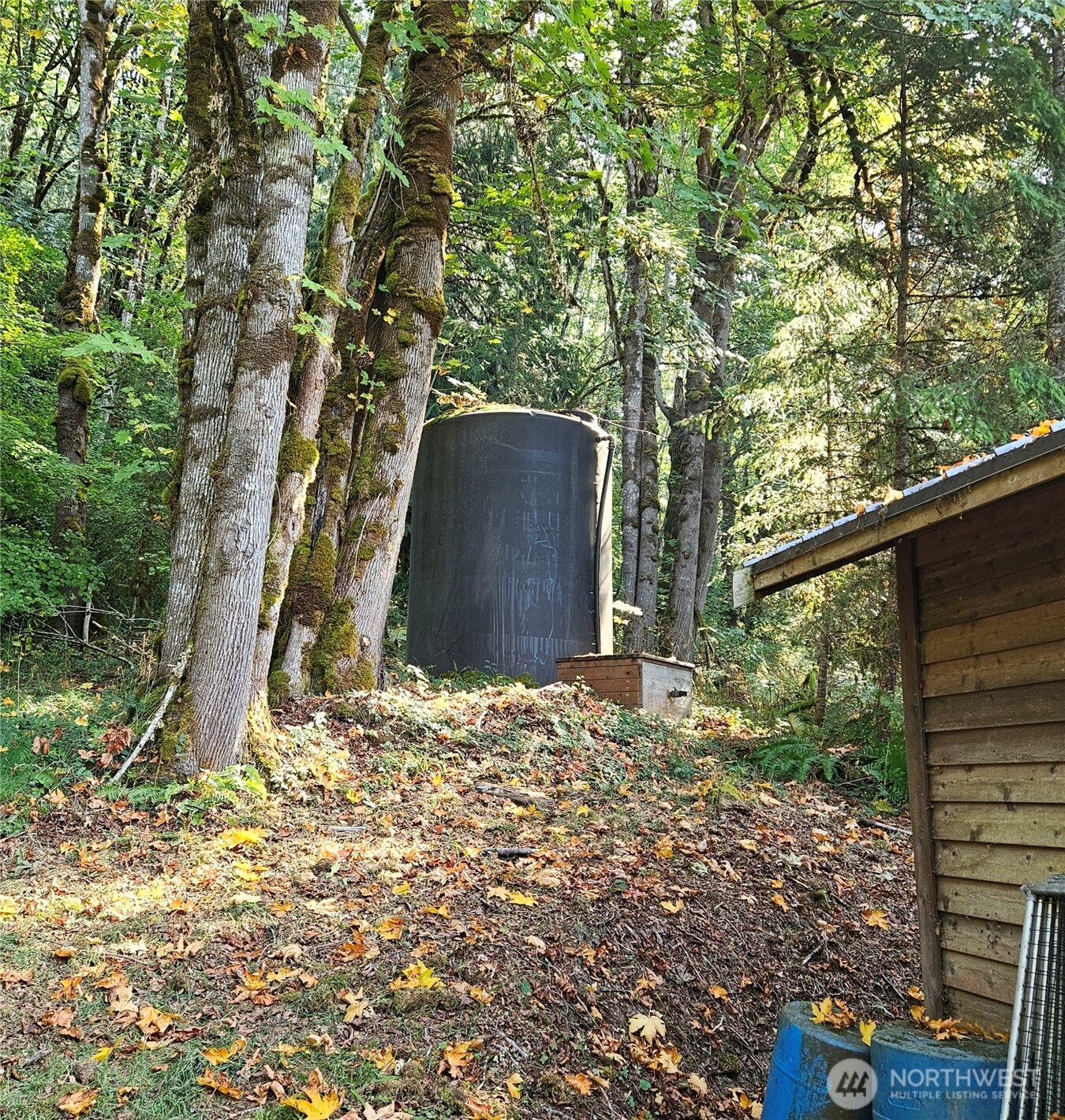 106 Crocker Lake Road Quilcene, WA 98376 - Photo 26 of 38 a backyard of a house with large trees and plants