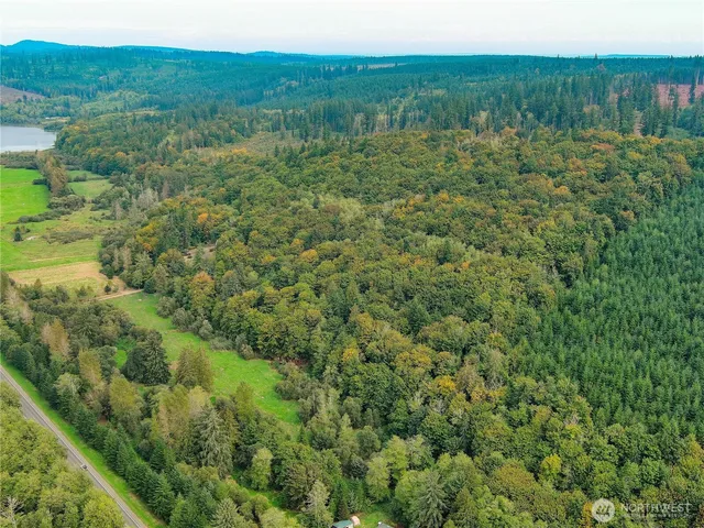 a view of a lush green forest with trees and some houses