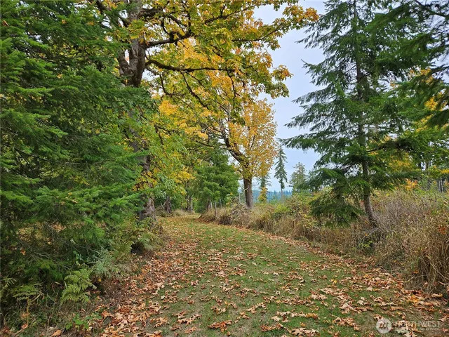 a backyard of a house with lots of green space