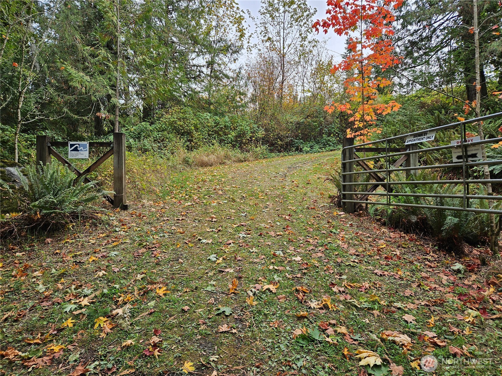 106 Crocker Lake Road Quilcene, WA 98376 - Photo 35 of 38 a view of a yard with plants and trees