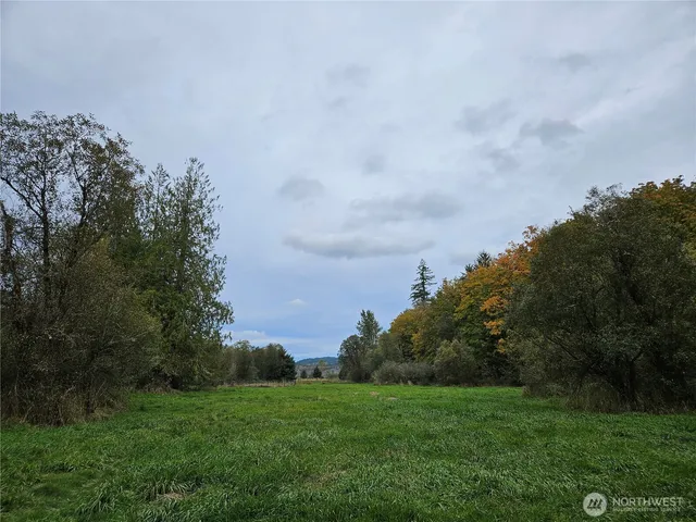a view of a big yard with plants and a bench