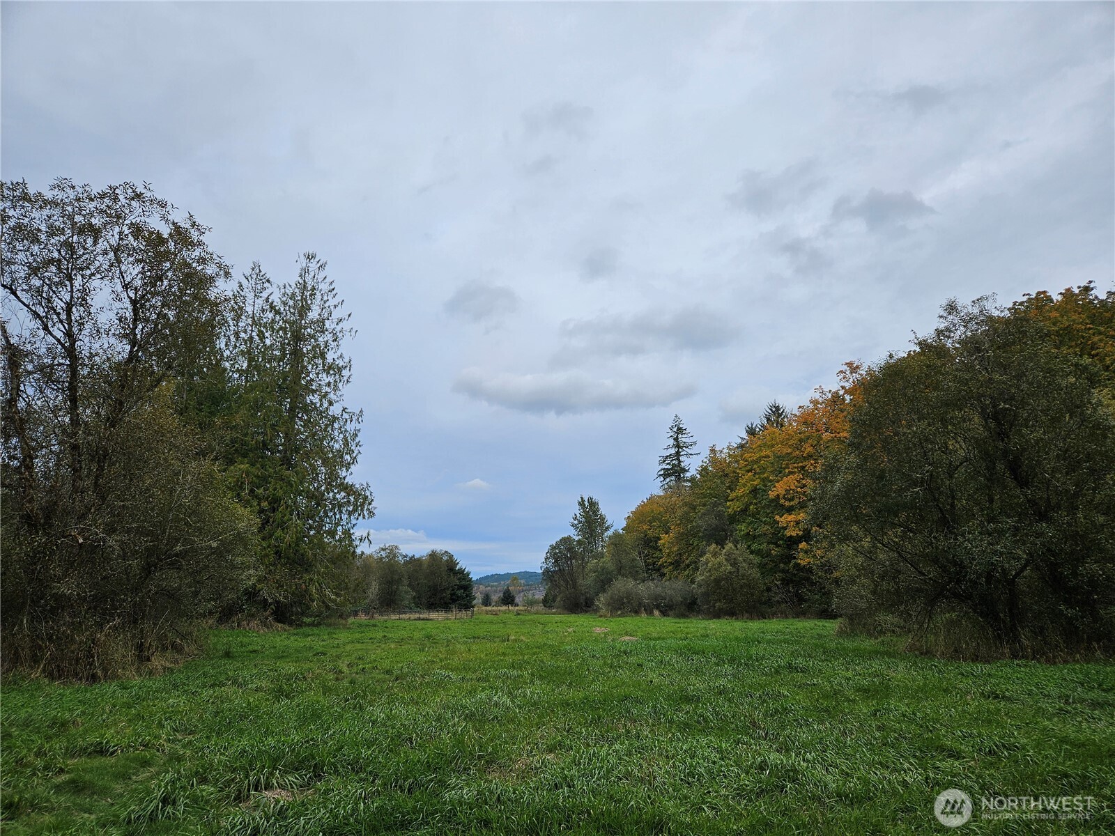 106 Crocker Lake Road Quilcene, WA 98376 - Photo 36 of 38 a view of a big yard with plants and a bench