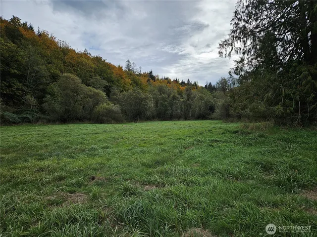 a view of a grassy field with trees in the background