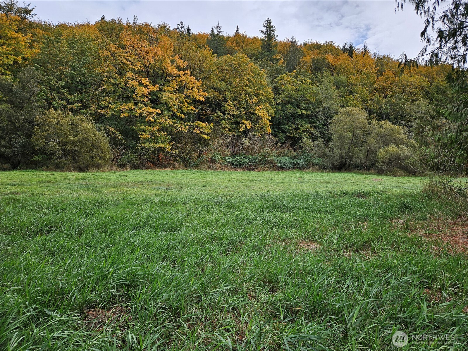 106 Crocker Lake Road Quilcene, WA 98376 - Photo 38 of 38 a view of a field of grass and trees