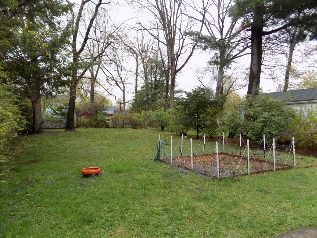 35 Burnside Terrace Springfield, MA 01118 - Photo 5 of 12 a view of a park with large trees