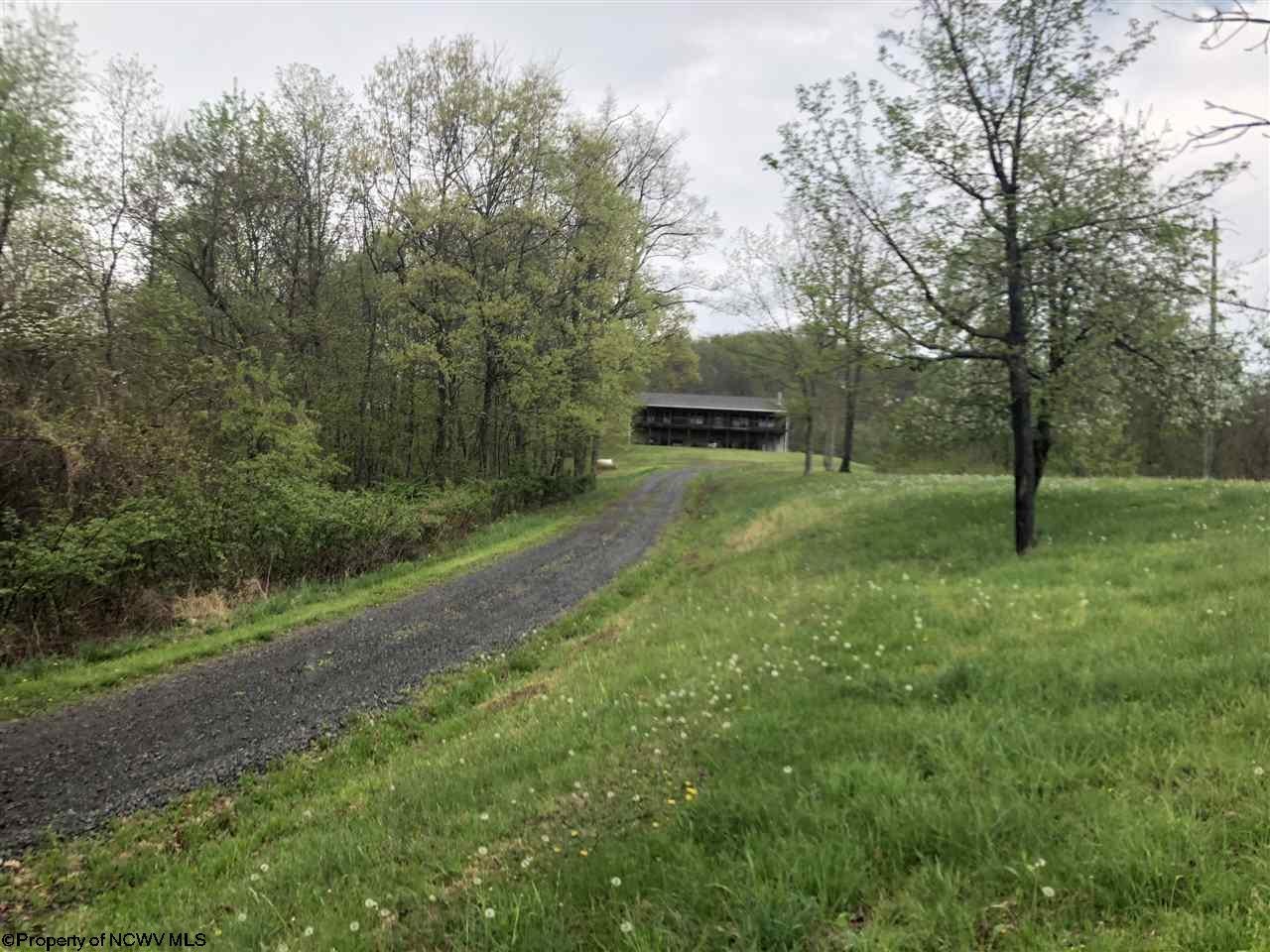 712 Statler Run Road Fairview, WV 26570 - Photo 1 of 20 Gallery Image 1