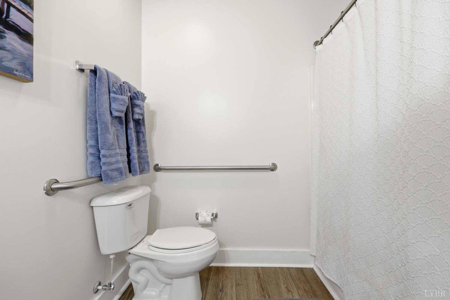 1245 Graves Harbor Trail, Unit 2101 Huddleston, VA 24104 - Photo 19 of 40 a bathroom with a toilet and a shower curtain