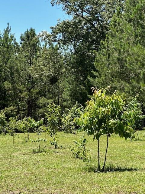 4747 Donnan Road Macon, GA 31217 - Photo 49 of 50