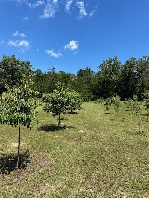 4747 Donnan Road Macon, GA 31217 - Photo 9 of 50