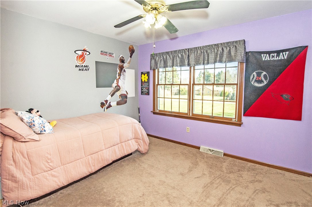 9834 New Buffalo Road Canfield, OH 44406 - Photo 17 of 32 Gallery Image 17