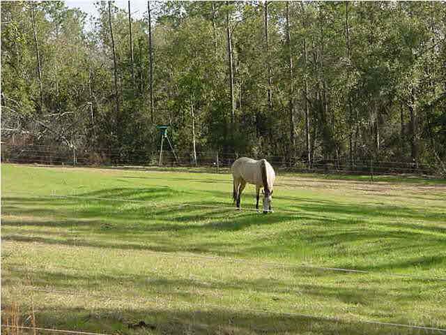 5172 Siripon Road Milton, FL 32570 - Photo 5 of 24 Gallery Image 5